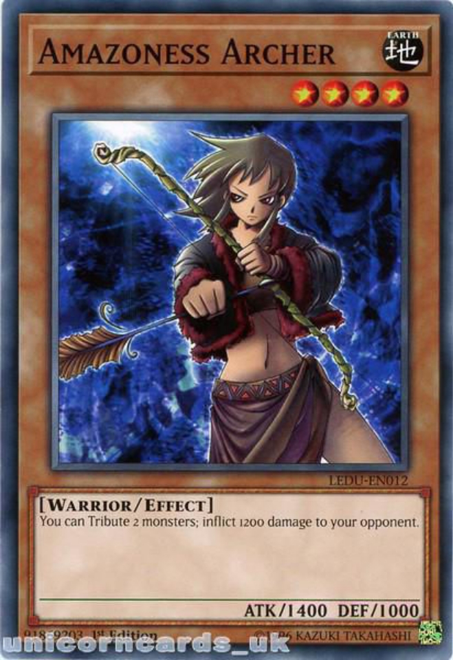 LDS1-EN025 Amazoness Onslaught1st Edition Common YuGiOh Trading Card Game TCG