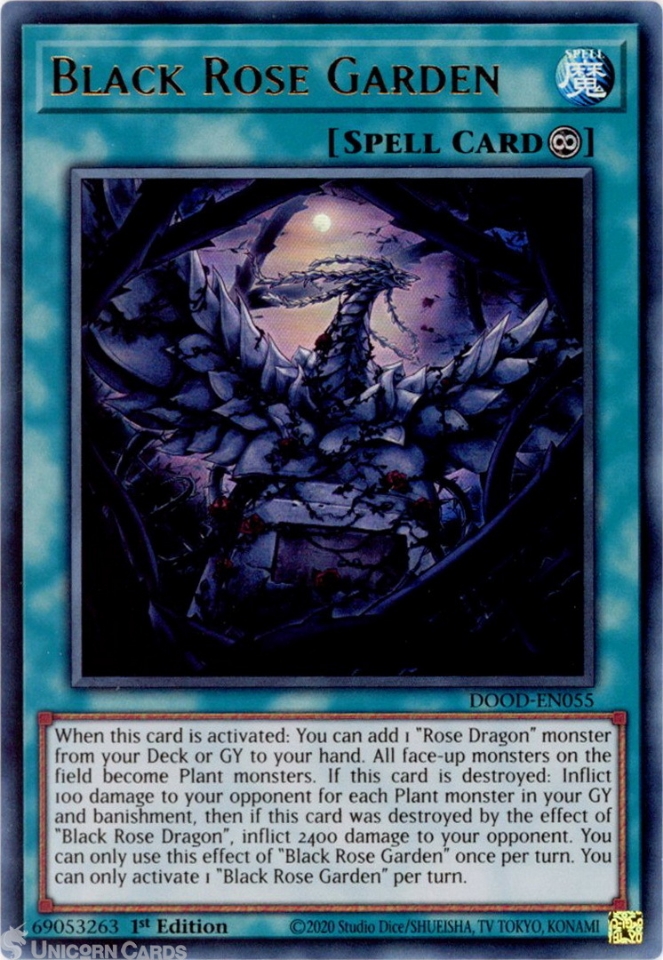 Yugioh Deck Yu-Gi-Oh! Card: Rage Rose Witch (DOOD-EN040) - Ultra Rare, 1st  Edition, Near Mint